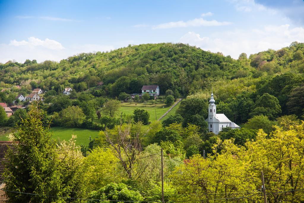 Lotuszvirag Vendeghaz Hotell Szekszárd Exteriör bild