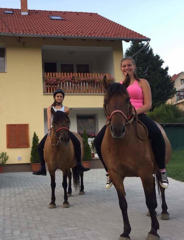 Lotuszvirag Vendeghaz Hotell Szekszárd Exteriör bild