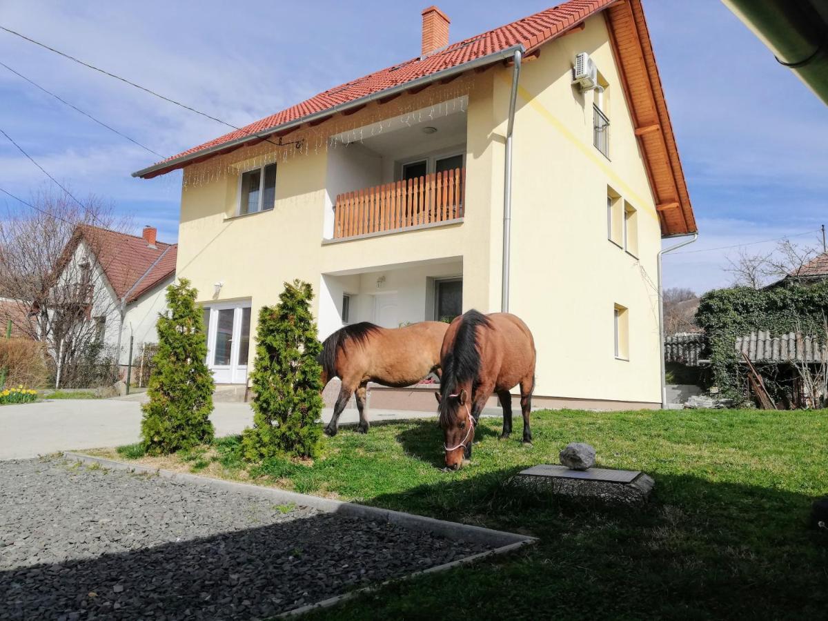 Lotuszvirag Vendeghaz Hotell Szekszárd Exteriör bild
